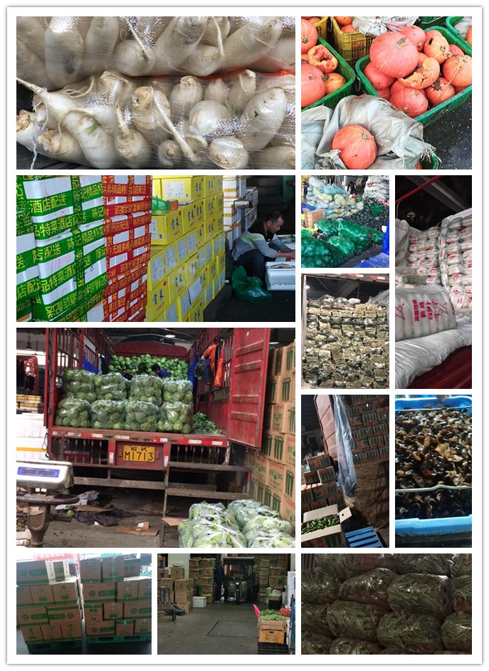 首页| PA视讯集团中国官方网站