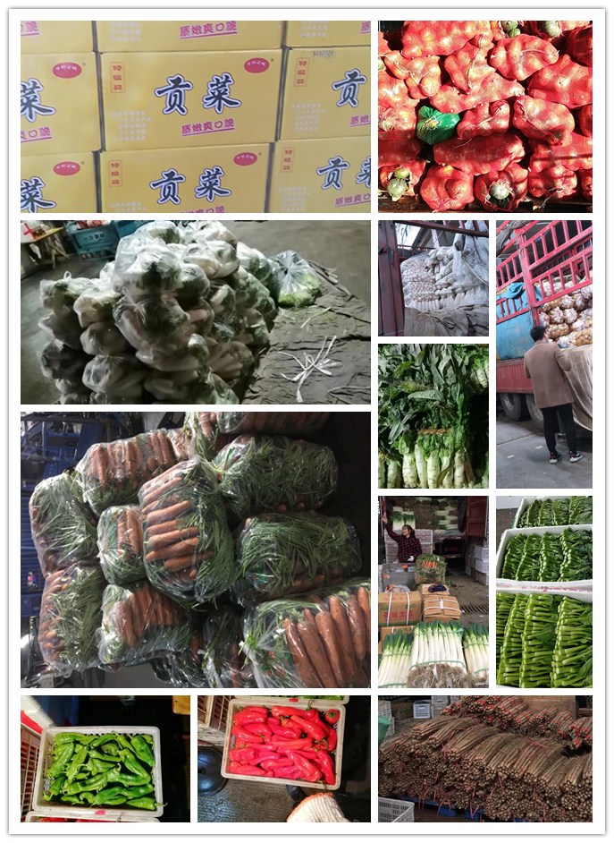 首页| PA视讯集团中国官方网站