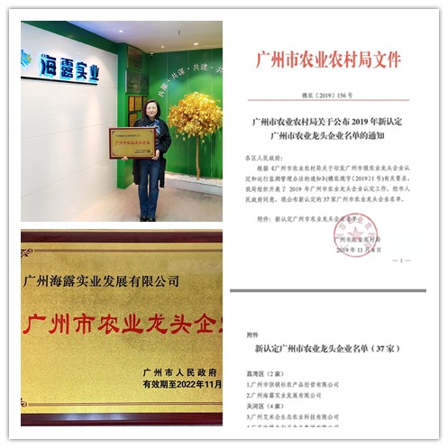 首页| PA视讯集团中国官方网站