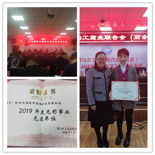 首页| PA视讯集团中国官方网站