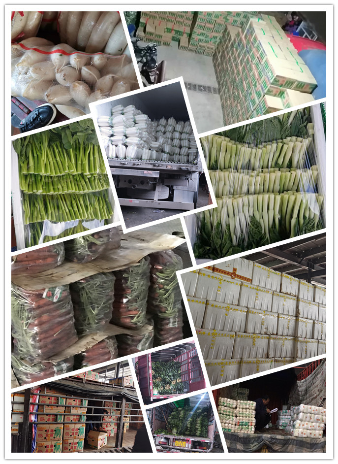 首页| PA视讯集团中国官方网站