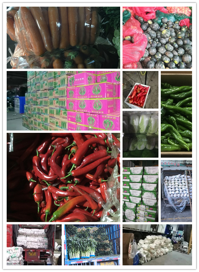 首页| PA视讯集团中国官方网站