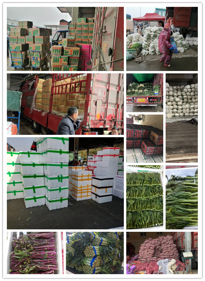 首页| PA视讯集团中国官方网站