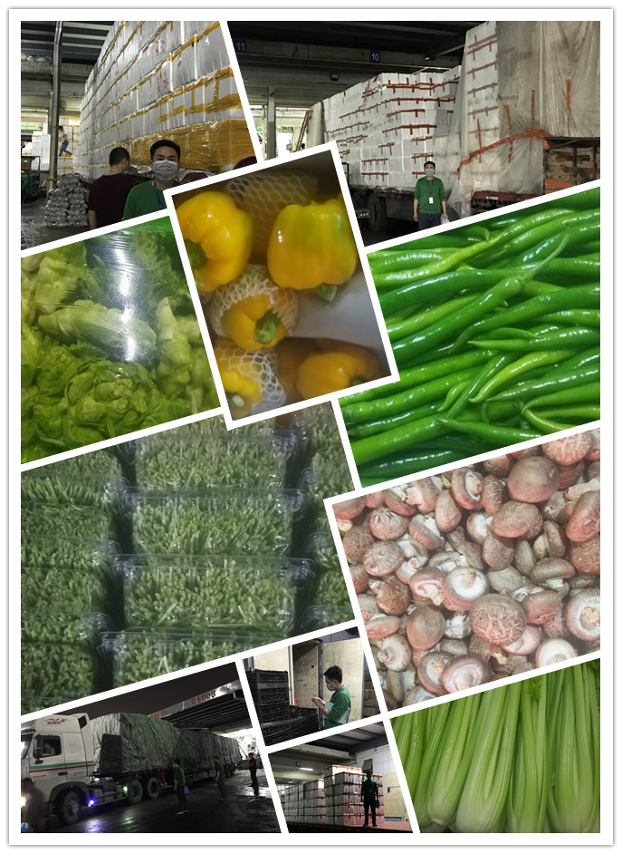 首页| PA视讯集团中国官方网站