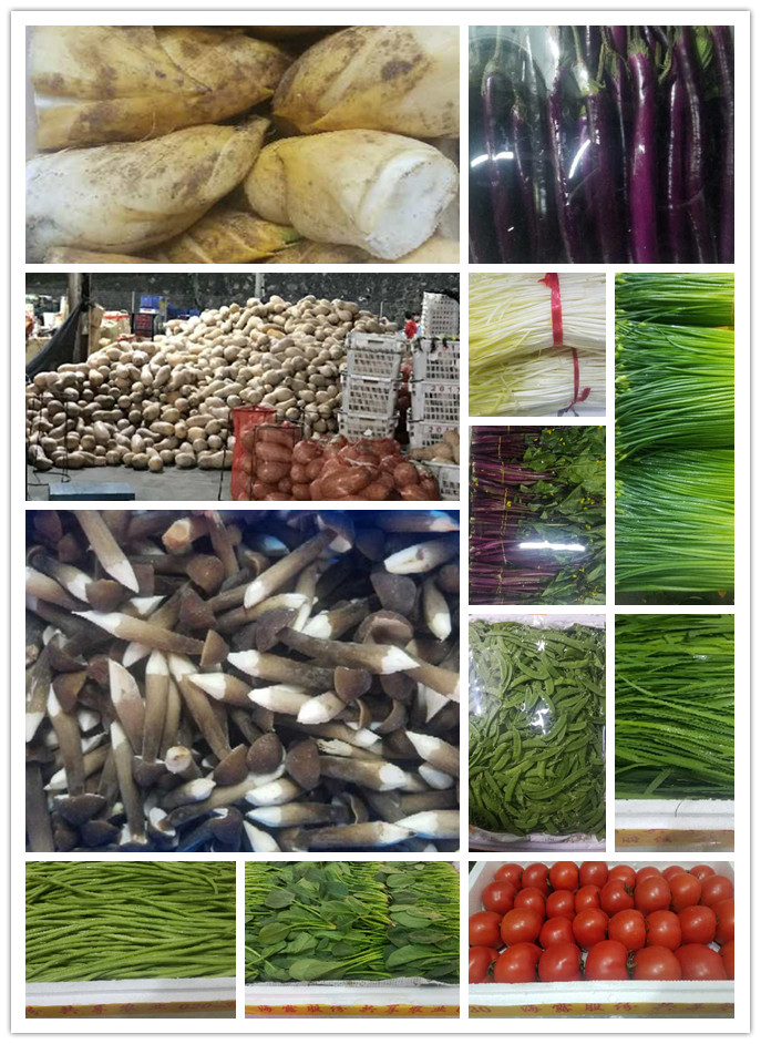 首页| PA视讯集团中国官方网站