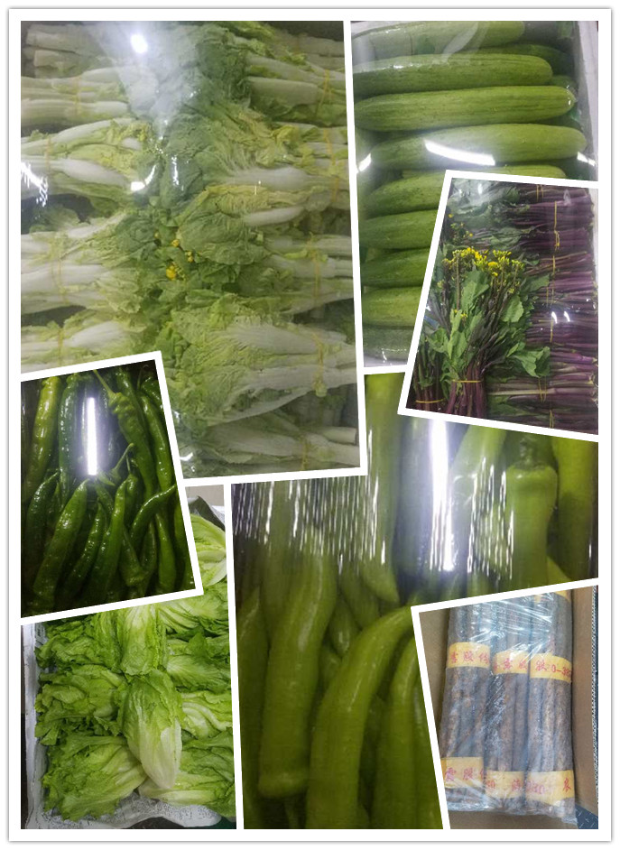 首页| PA视讯集团中国官方网站