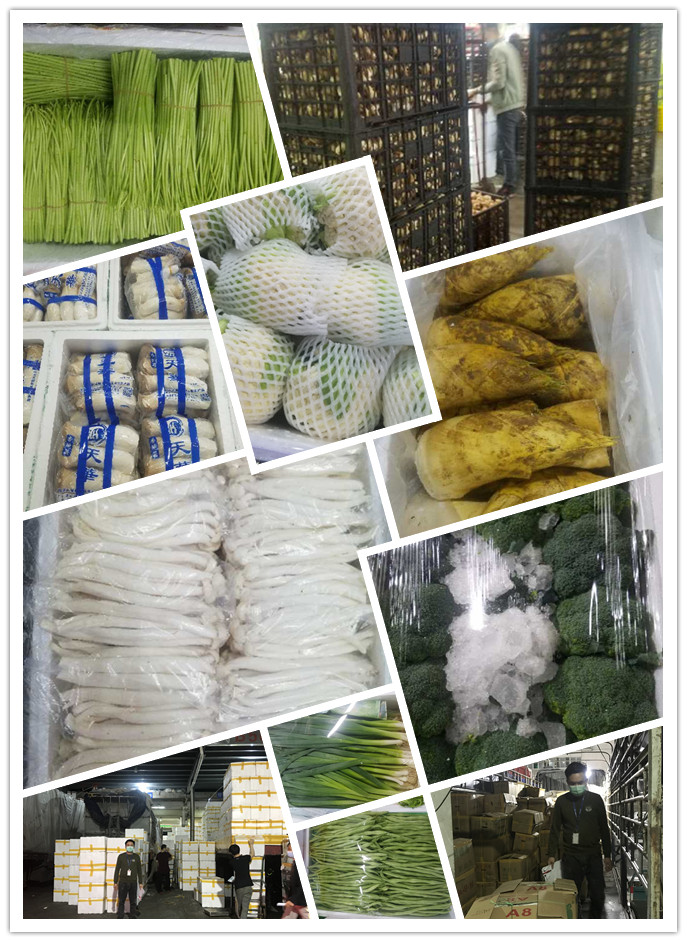 首页| PA视讯集团中国官方网站