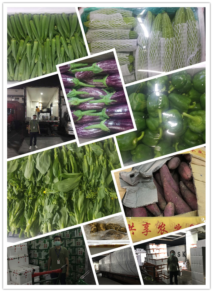 首页| PA视讯集团中国官方网站