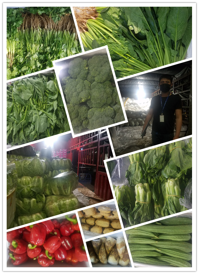 首页| PA视讯集团中国官方网站