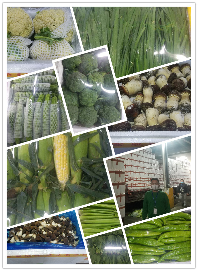 首页| PA视讯集团中国官方网站