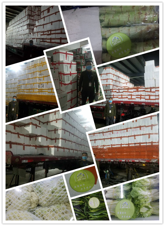 首页| PA视讯集团中国官方网站