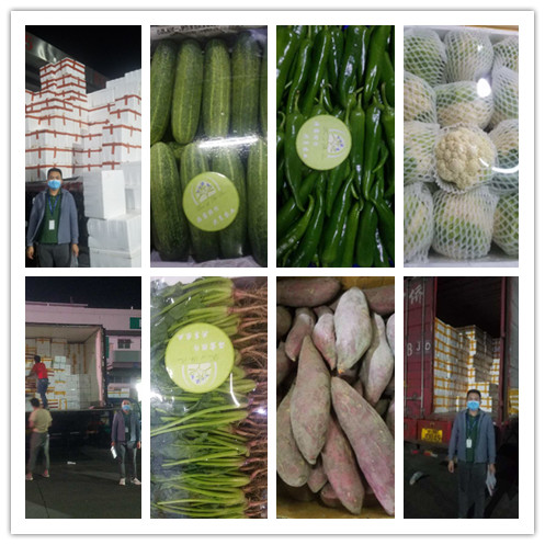 首页| PA视讯集团中国官方网站