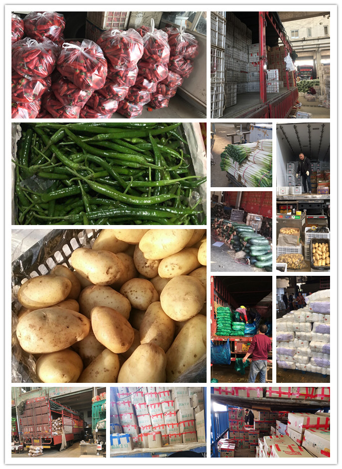 首页| PA视讯集团中国官方网站