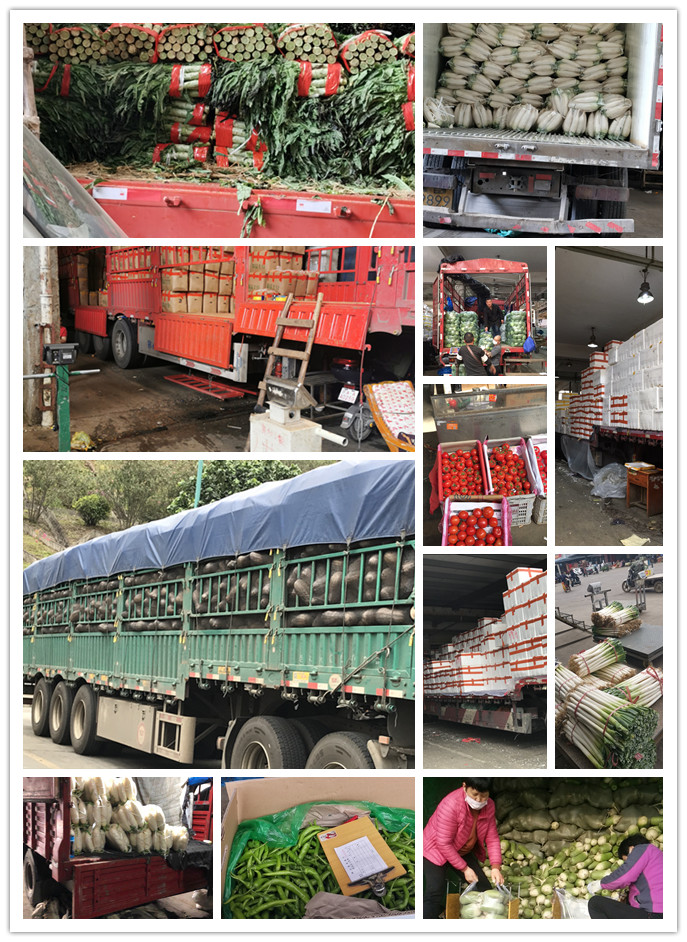 首页| PA视讯集团中国官方网站