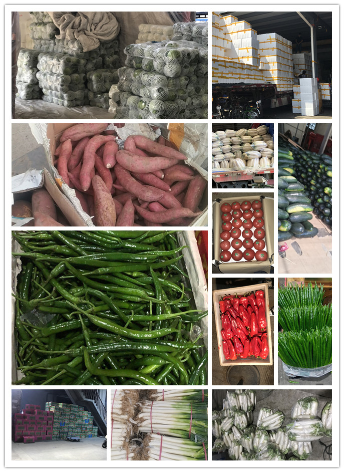 首页| PA视讯集团中国官方网站