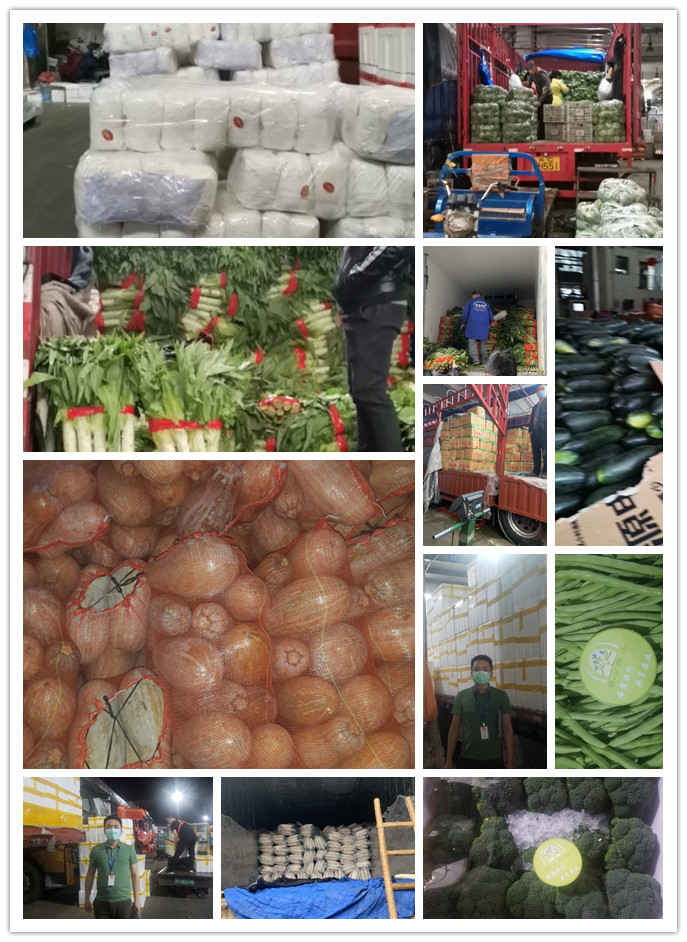 首页| PA视讯集团中国官方网站