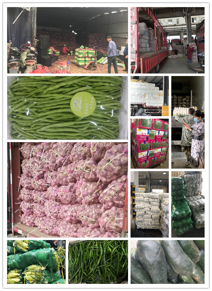 首页| PA视讯集团中国官方网站