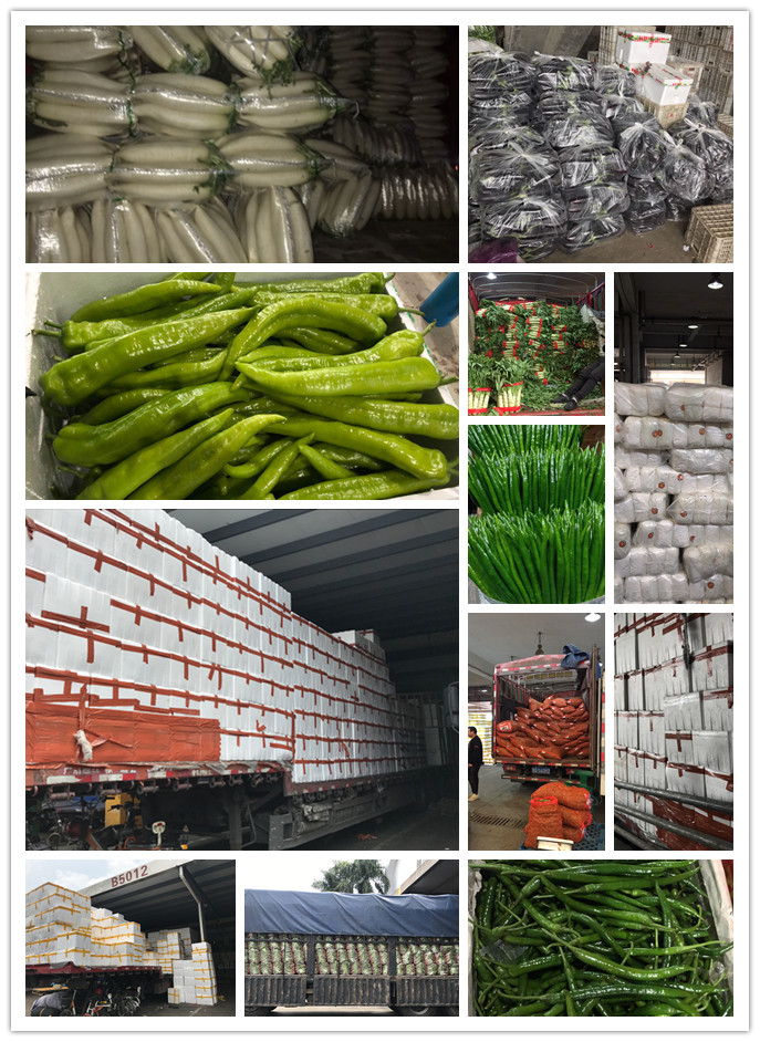 首页| PA视讯集团中国官方网站