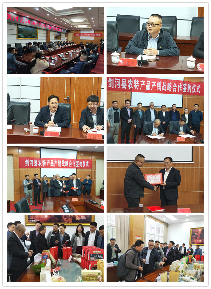 首页| PA视讯集团中国官方网站