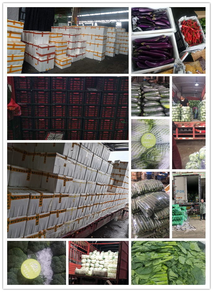 首页| PA视讯集团中国官方网站