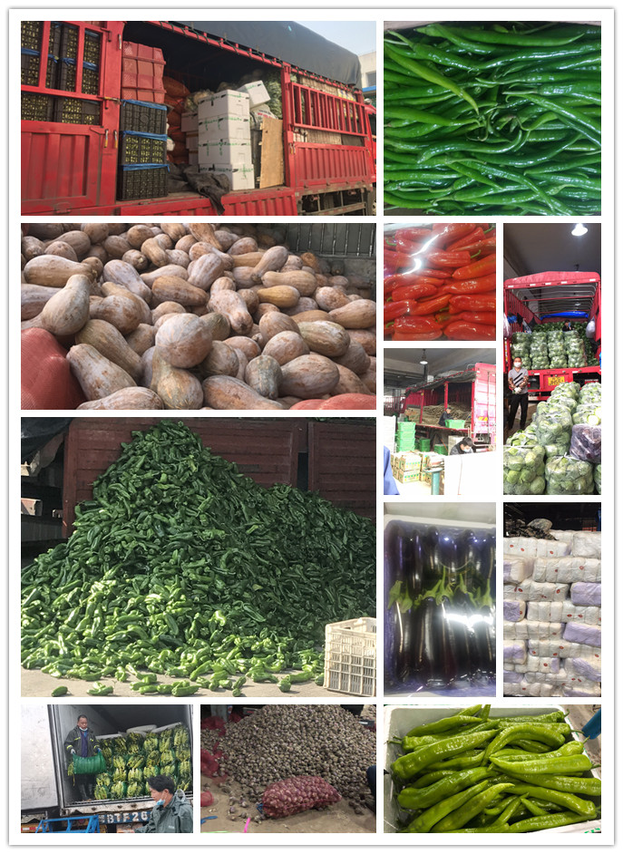 首页| PA视讯集团中国官方网站