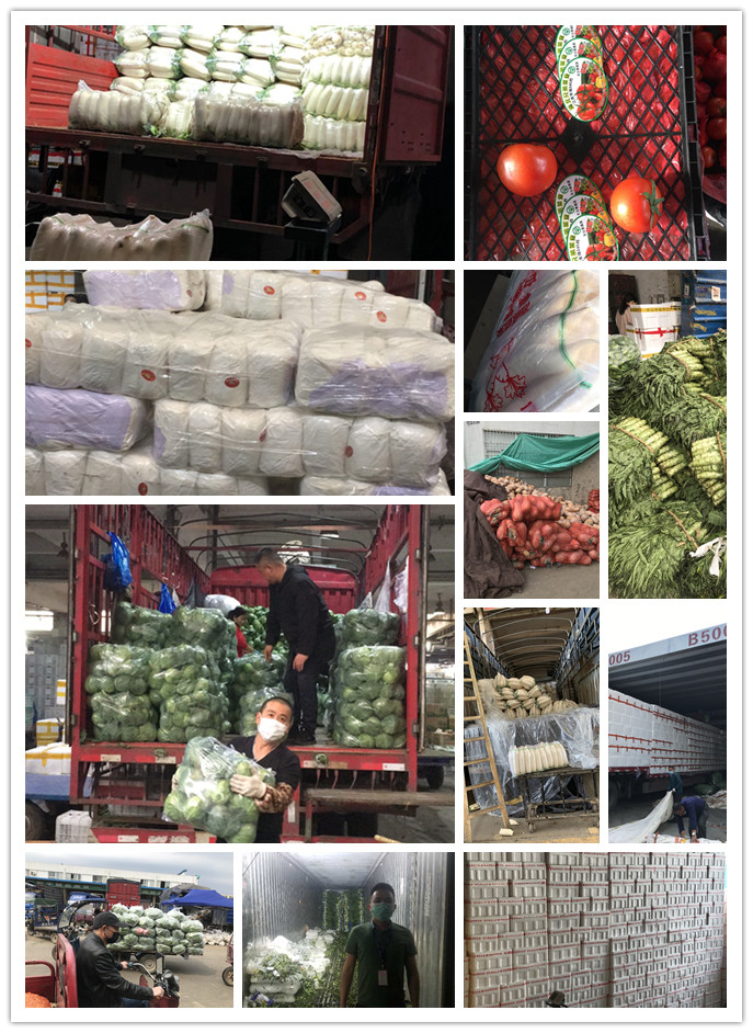 首页| PA视讯集团中国官方网站