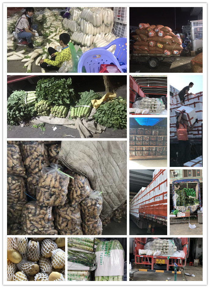 首页| PA视讯集团中国官方网站