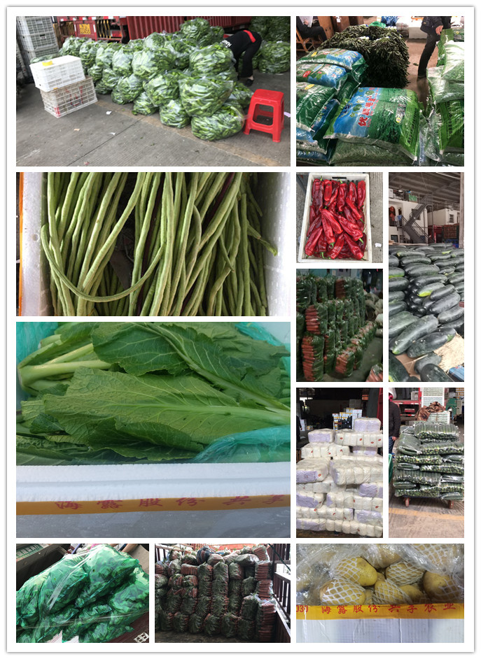 首页| PA视讯集团中国官方网站