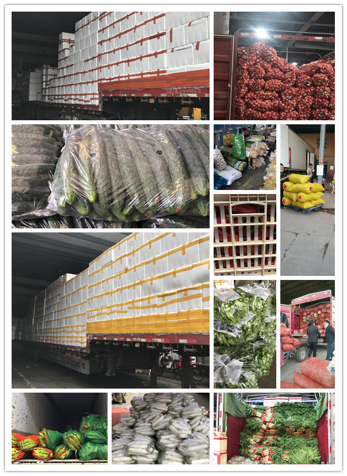 首页| PA视讯集团中国官方网站