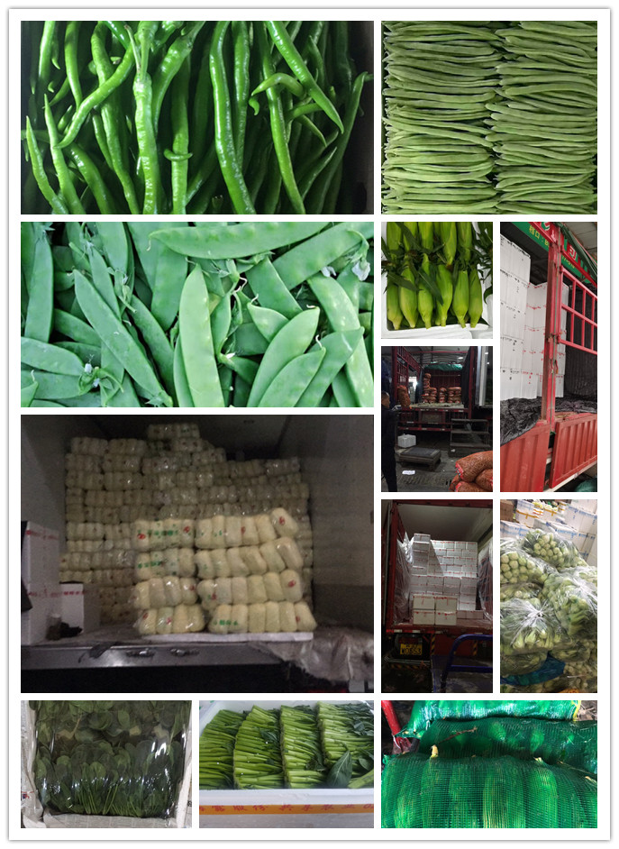 首页| PA视讯集团中国官方网站