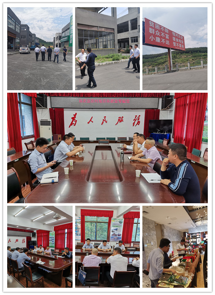 首页| PA视讯集团中国官方网站