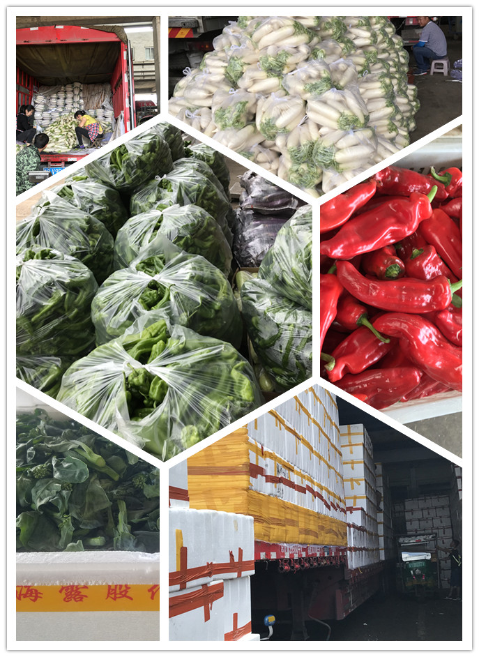 首页| PA视讯集团中国官方网站