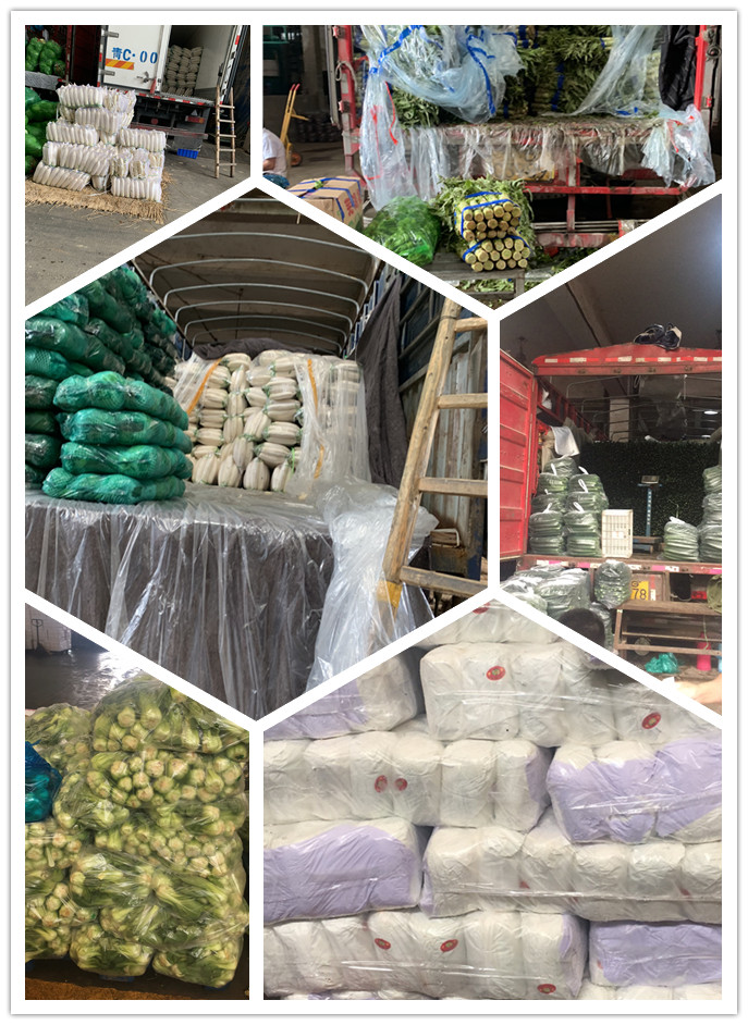 首页| PA视讯集团中国官方网站