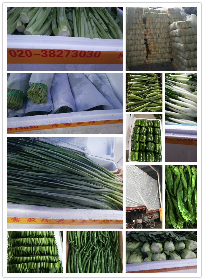 首页| PA视讯集团中国官方网站