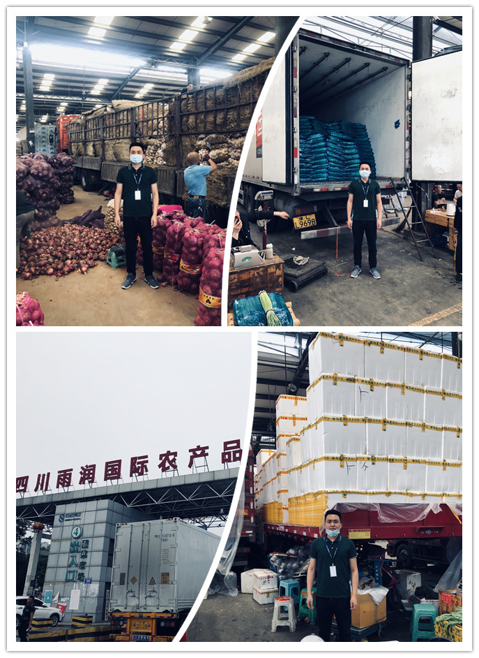 首页| PA视讯集团中国官方网站