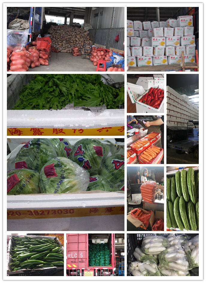 首页| PA视讯集团中国官方网站