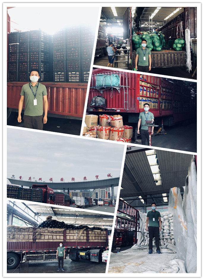 首页| PA视讯集团中国官方网站