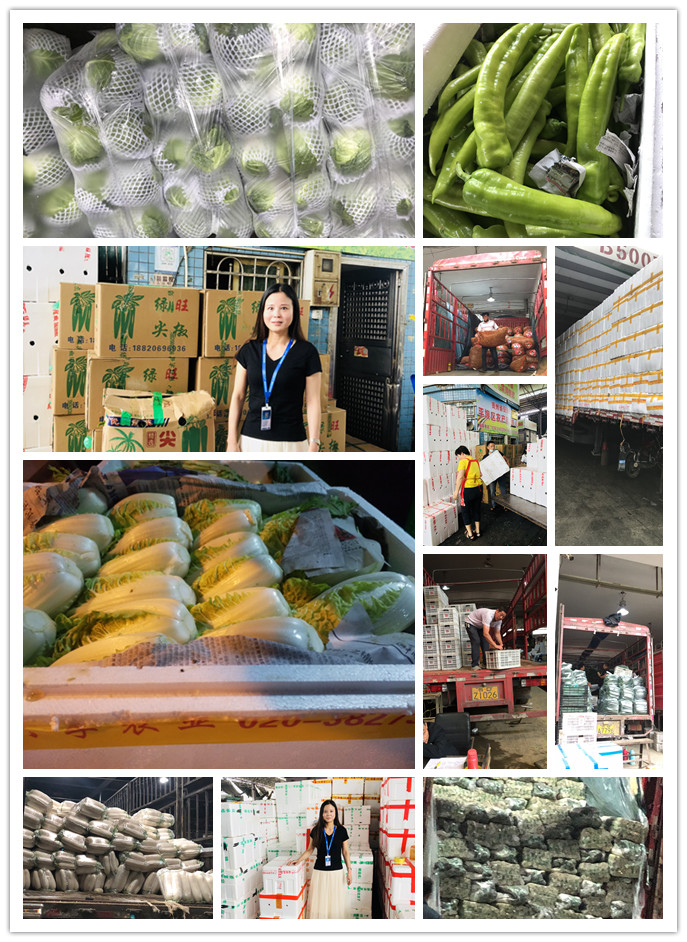 首页| PA视讯集团中国官方网站