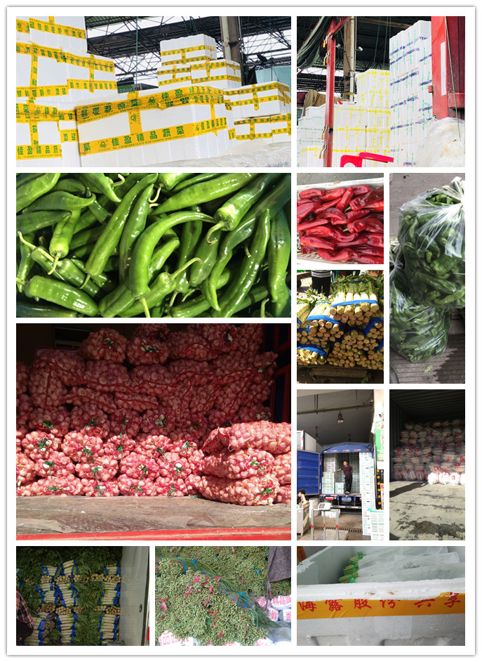 首页| PA视讯集团中国官方网站