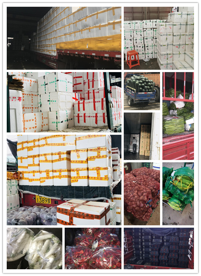 首页| PA视讯集团中国官方网站