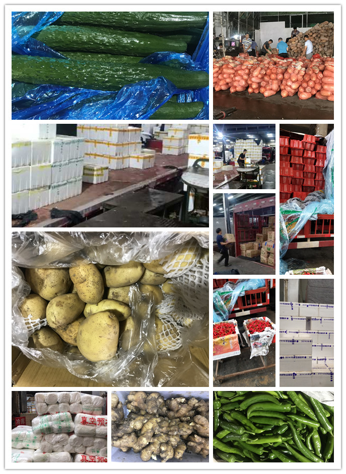 首页| PA视讯集团中国官方网站