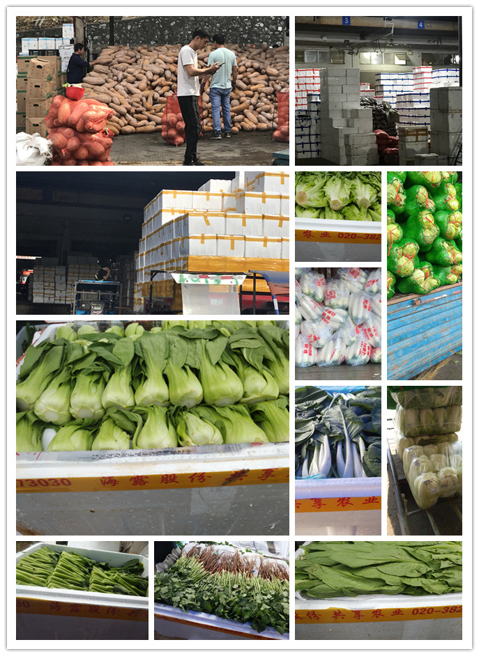 首页| PA视讯集团中国官方网站