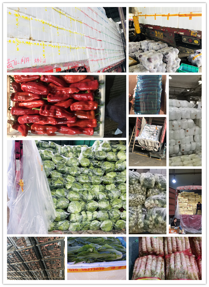 首页| PA视讯集团中国官方网站