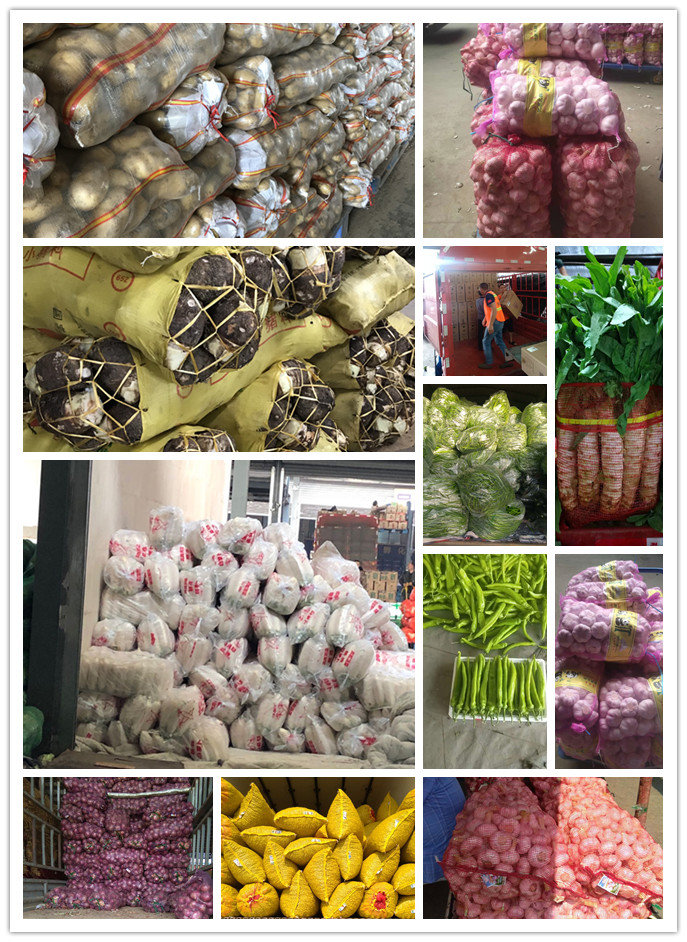 首页| PA视讯集团中国官方网站