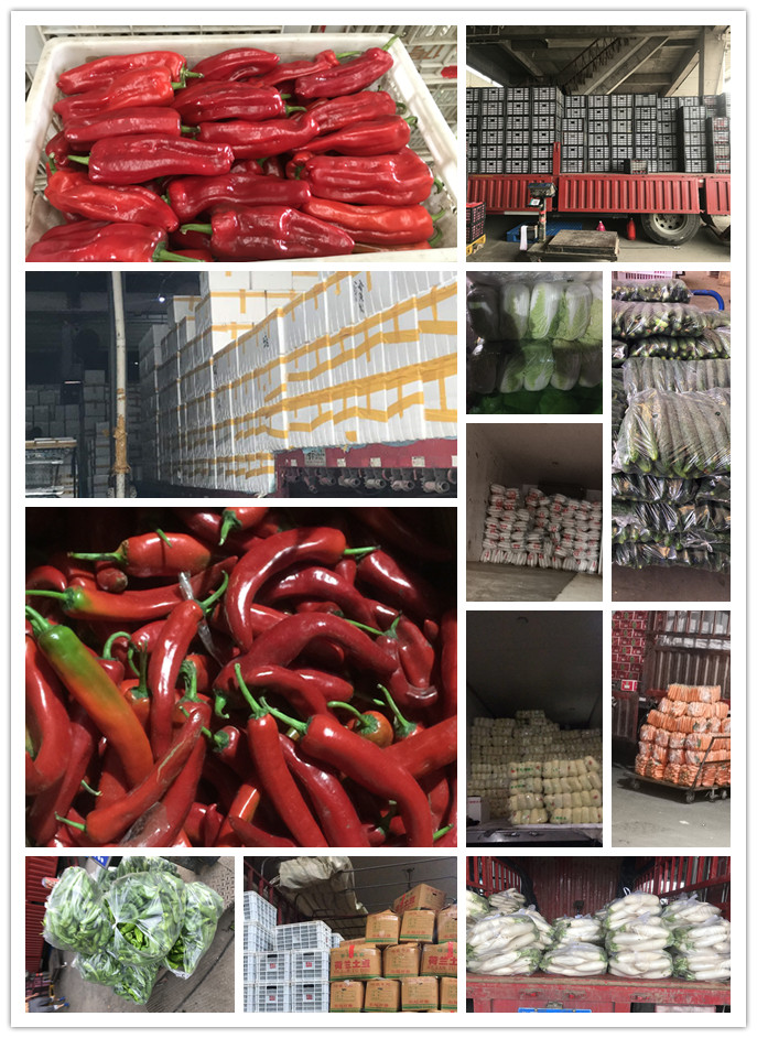 首页| PA视讯集团中国官方网站