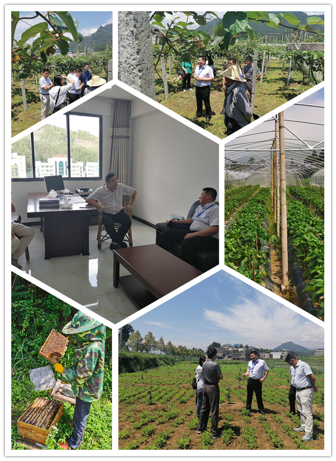 首页| PA视讯集团中国官方网站