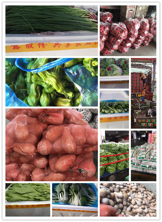 首页| PA视讯集团中国官方网站