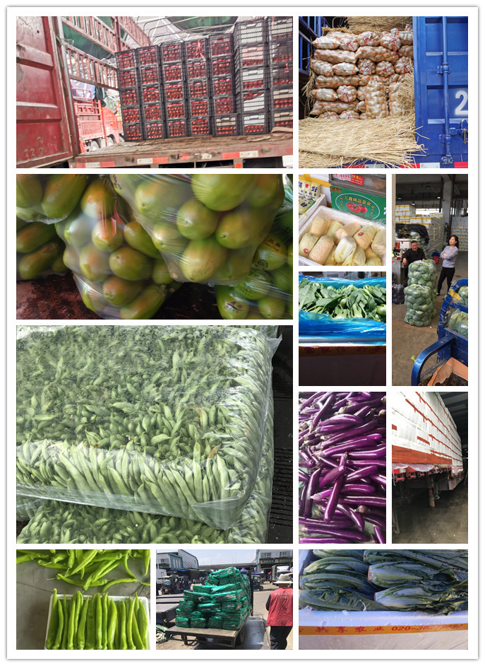 首页| PA视讯集团中国官方网站