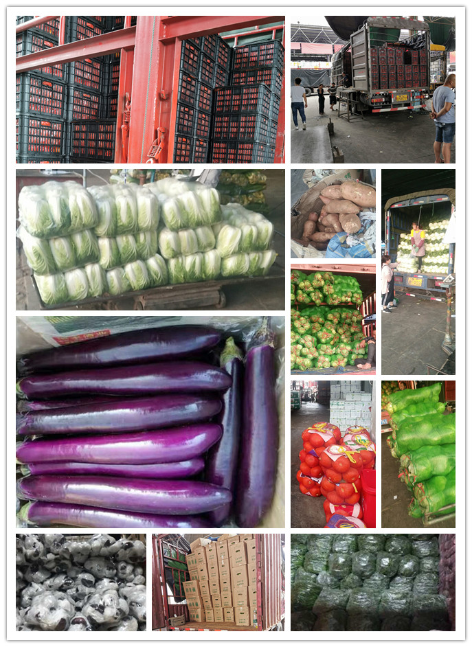 首页| PA视讯集团中国官方网站