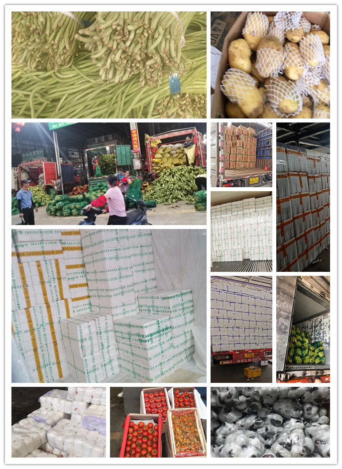 首页| PA视讯集团中国官方网站